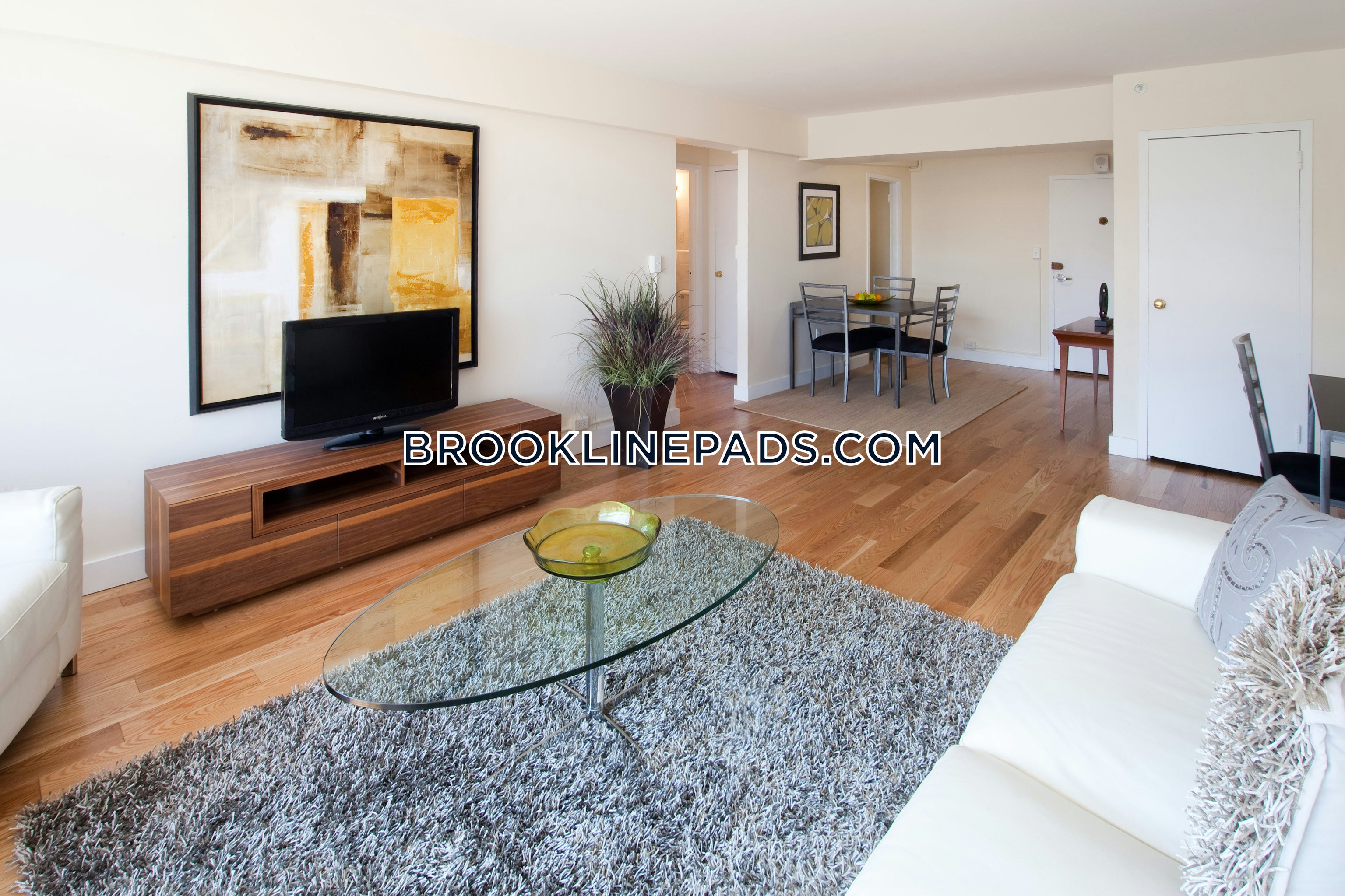 Boston Pet Friendly Apartments Brookline Apartment For Studio Boston Pet Friendly Apartments Brookline Apartment For Studio 1 Bath Coolidge Corner 2 250