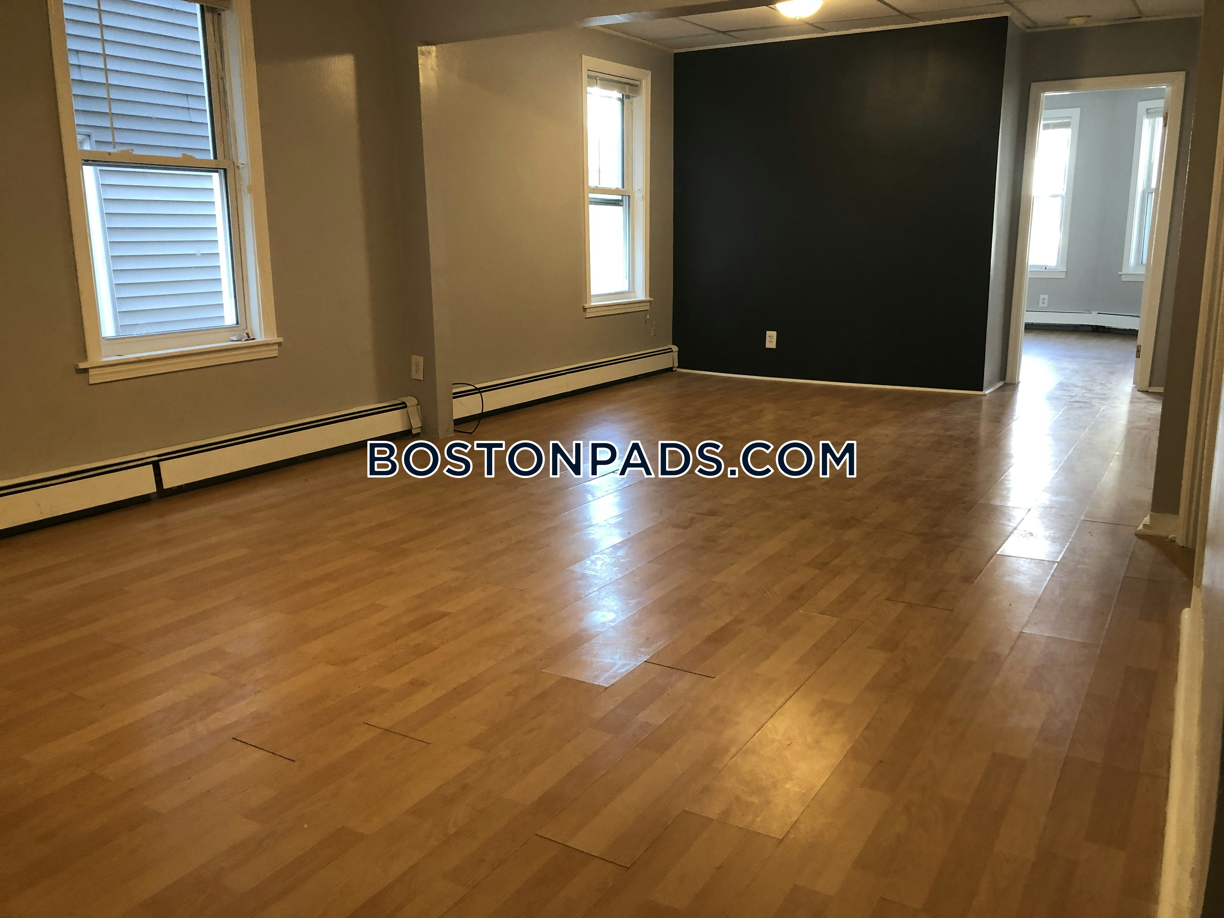 Boston Pet Friendly Apartments Cambridge Apartment for rent 2