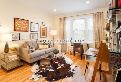 Cambridge Apartment for rent 2 Bedrooms 1 Bath  Harvard Square - $3,750 No Fee