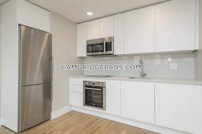 Cambridge Apartment for rent 2 Bedrooms 1 Bath  Harvard Square - $4,150