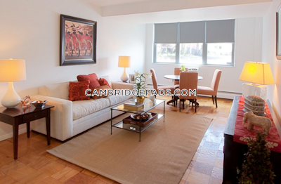Cambridge Apartment for rent Studio 1 Bath  Porter Square - $2,517 No Fee