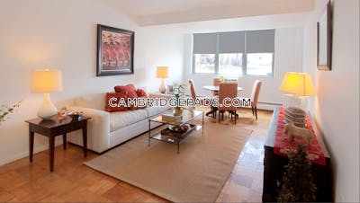 Cambridge Apartment for rent 1 Bedroom 1 Bath  Porter Square - $3,092 No Fee
