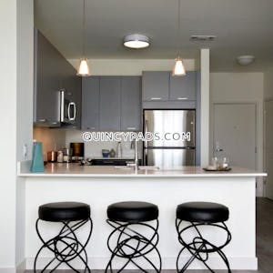 Quincy Apartment for rent 1 Bedroom 1 Bath  Quincy Center - $2,667