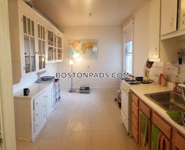 Brighton Apartment for rent 1 Bedroom 1 Bath Boston - $2,365 No Fee