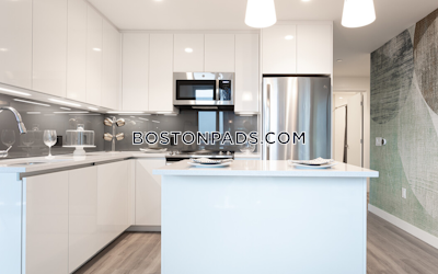 West End Apartment for rent 2 Bedrooms 2 Baths Boston - $10,271