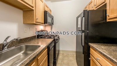 Cambridge Apartment for rent Studio 1 Bath  Porter Square - $2,517 No Fee