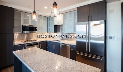 West End Apartment for rent 1 Bedroom 1 Bath Boston - $4,432