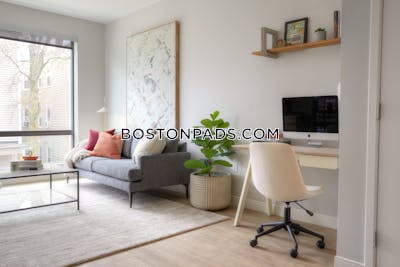 Dorchester Apartment for rent 2 Bedrooms 1 Bath Boston - $3,680