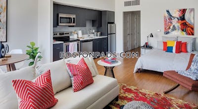 Allston Apartment for rent 2 Bedrooms 2 Baths Boston - $5,189