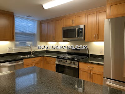 Brookline Apartment for rent 2 Bedrooms 1 Bath Chestnut Hill - $3,710 No Fee