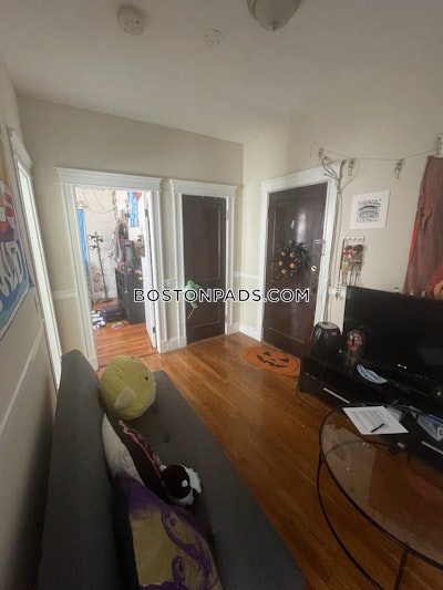 Allston Apartment for rent 1 Bedroom 1 Bath Boston - $3,030