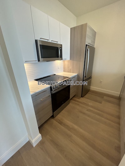 Allston Apartment for rent 1 Bedroom 1 Bath Boston - $3,050 No Fee
