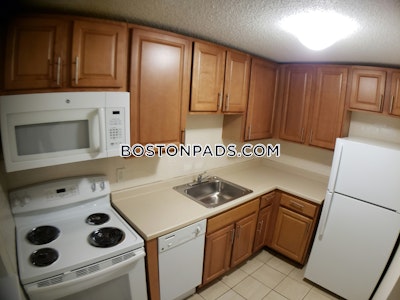 Cambridge Apartment for rent 2 Bedrooms 1 Bath  Mt. Auburn/brattle/ Fresh Pond - $2,900 No Fee