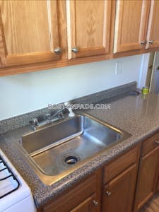 Allston/brighton Border Apartment for rent 1 Bedroom 1 Bath Boston - $2,625 50% Fee