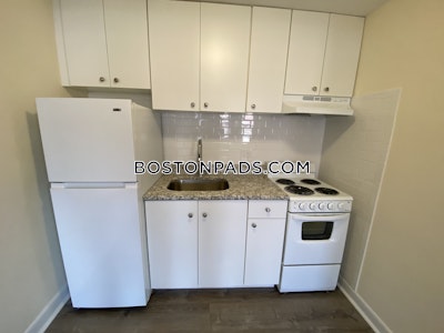 Allston Apartment for rent 1 Bedroom 1 Bath Boston - $2,500 No Fee