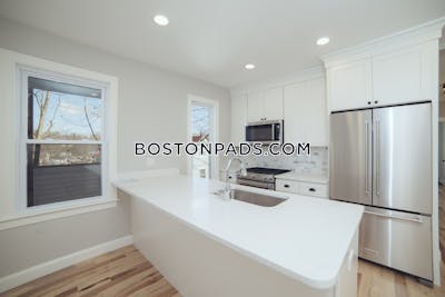 Brookline 2 bedroom 1 baths in BROOKLINE  Chestnut Hill - $3,700