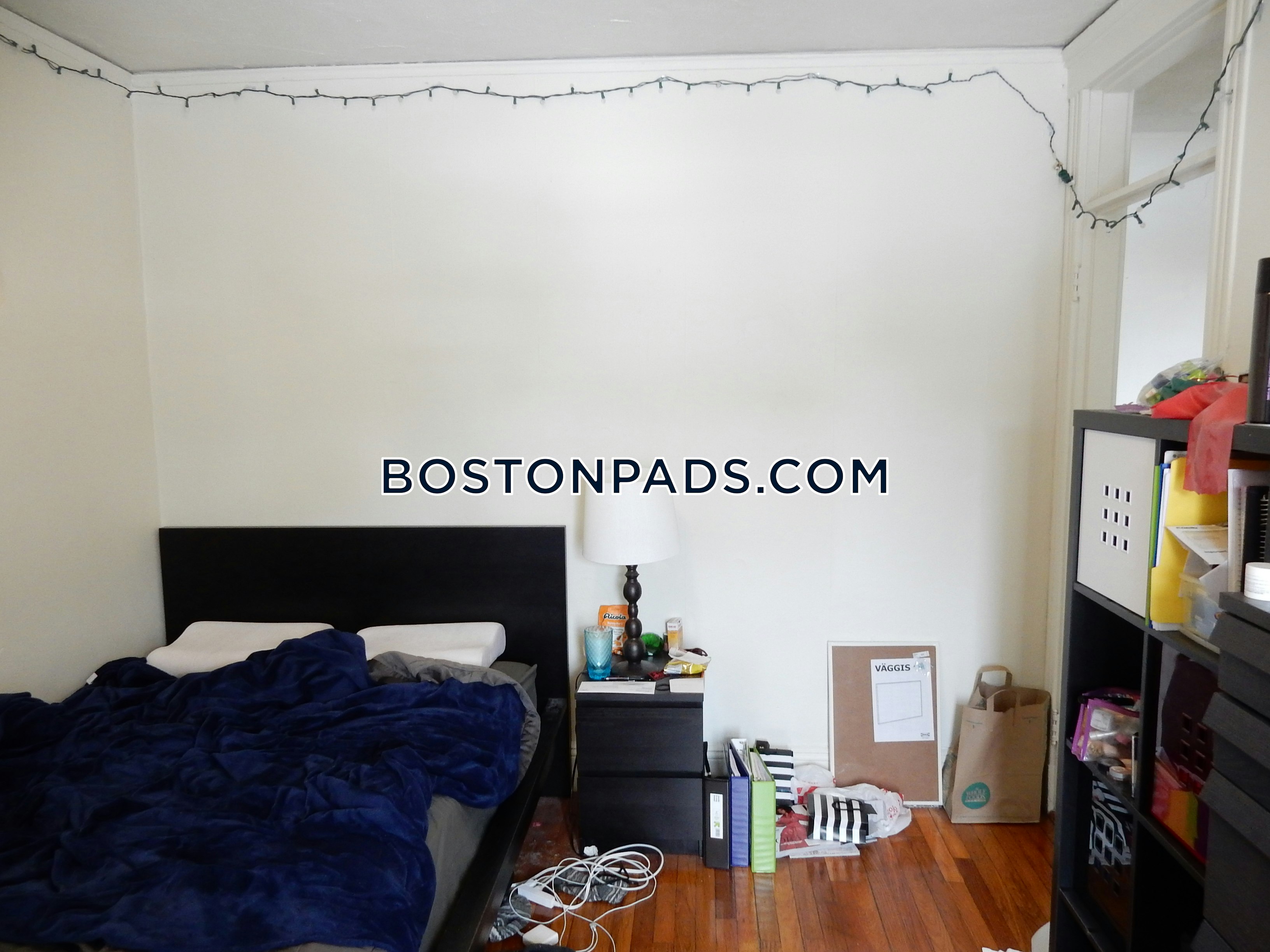 Boston Pet Friendly Apartments Fenway/kenmore Apartment for rent