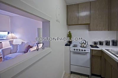 Brighton Apartment for rent Studio 1 Bath Boston - $2,100 No Fee