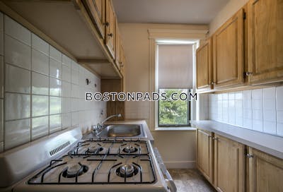 Allston Apartment for rent Studio 1 Bath Boston - $2,450 No Fee