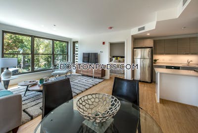 Allston Apartment for rent 2 Bedrooms 2 Baths Boston - $4,200 No Fee