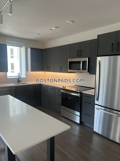 Cambridge Apartment for rent 3 Bedrooms 1 Bath  Mt. Auburn/brattle/ Fresh Pond - $5,995