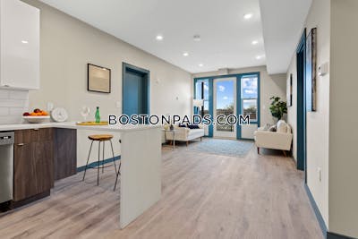 Dorchester/south Boston Border Apartment for rent 2 Bedrooms 2 Baths Boston - $3,325