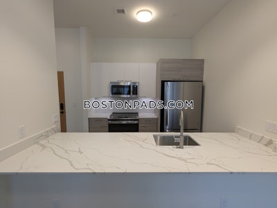 Allston Apartment for rent 1 Bedroom 1 Bath Boston - $3,250 No Fee