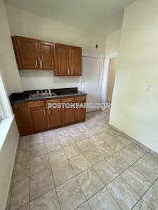 Allston Apartment for rent 1 Bedroom 1 Bath Boston - $2,550 No Fee
