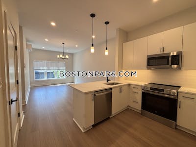 Brighton Apartment for rent 1 Bedroom 1 Bath Boston - $3,250 No Fee