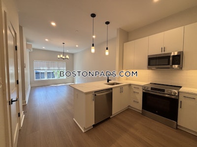 Brighton Apartment for rent 1 Bedroom 1 Bath Boston - $3,250 No Fee