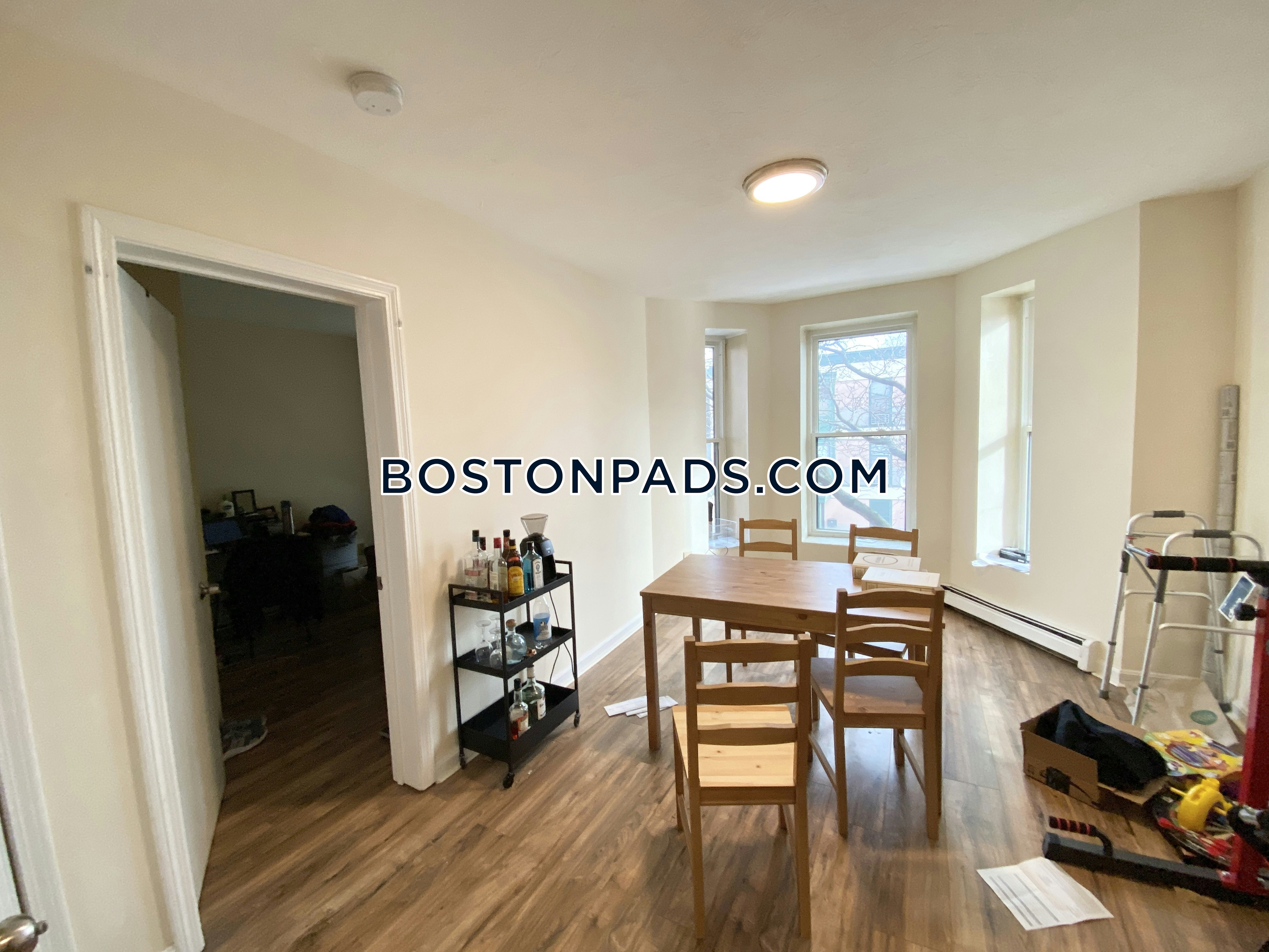 Boston Pet Friendly Apartments South End Apartment for rent 3