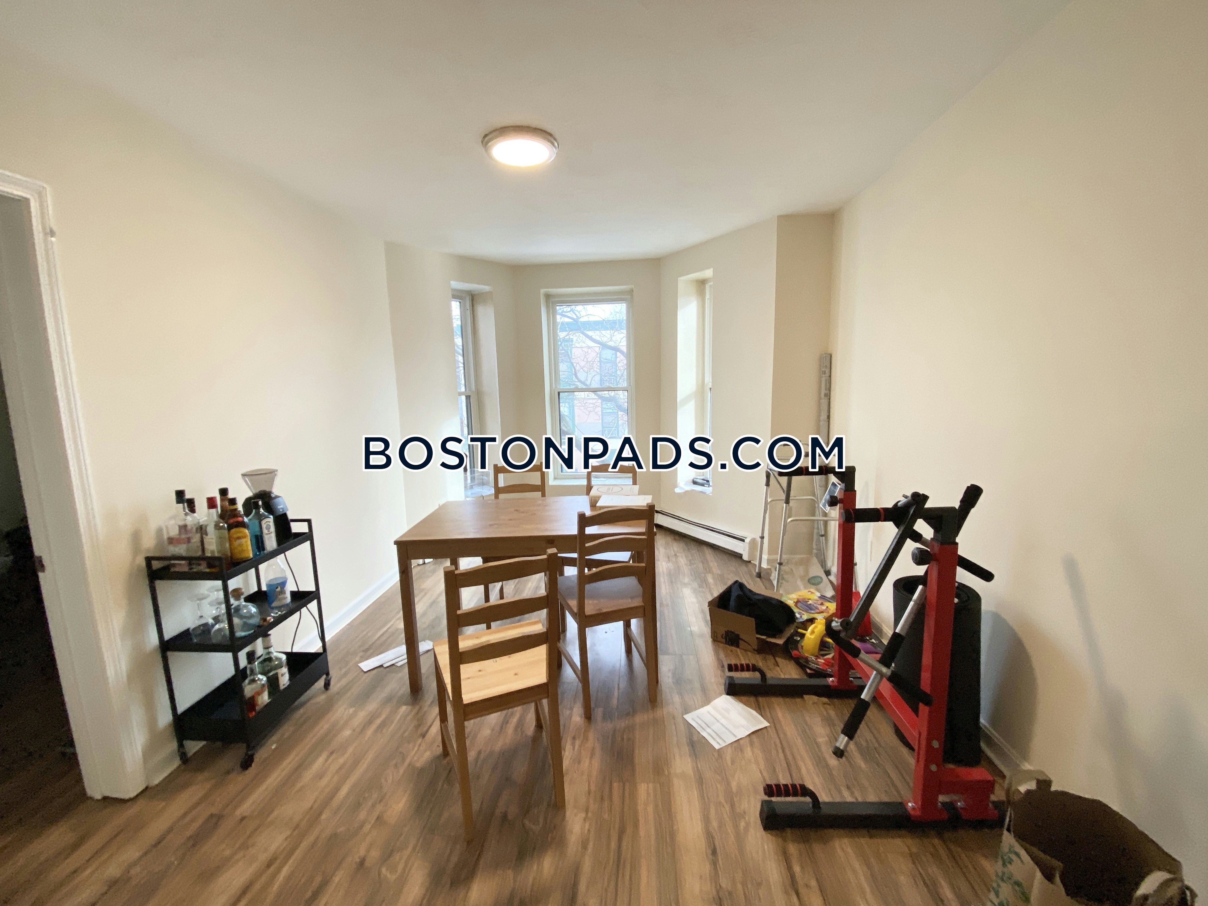 Boston Pet Friendly Apartments South End Apartment for rent 3