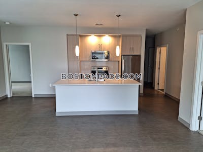 Jamaica Plain 2 bedroom  baths Luxury in BOSTON Boston - $5,000 No Fee