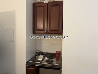 Jamaica Plain Apartment for rent Studio 1 Bath Boston - $1,725 No Fee