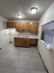 Allston Apartment for rent 1 Bedroom 1 Bath Boston - $2,500 No Fee