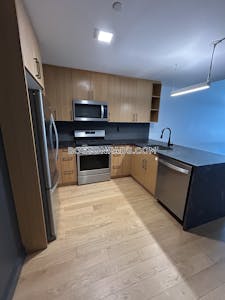 Allston Apartment for rent 2 Bedrooms 2 Baths Boston - $4,075 No Fee