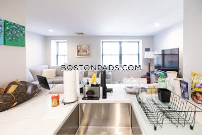 South End Apartment for rent 1 Bedroom 1 Bath Boston - $3,250