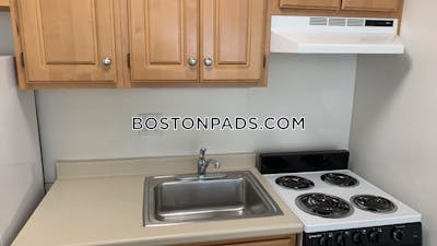 Cambridge Apartment for rent Studio 1 Bath  Mt. Auburn/brattle/ Fresh Pond - $2,400 No Fee