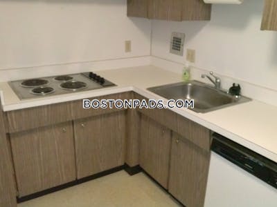 Brighton Apartment for rent 1 Bedroom 1 Bath Boston - $2,350