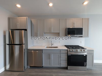 Brighton 1 bedroom 1 baths Luxury in BOSTON Boston - $3,300 No Fee