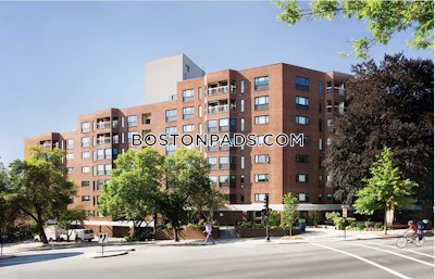 Brookline 3 bedroom 1 baths Luxury in BROOKLINE- COOLIDGE CORNER  Coolidge Corner - $7,775 No Fee