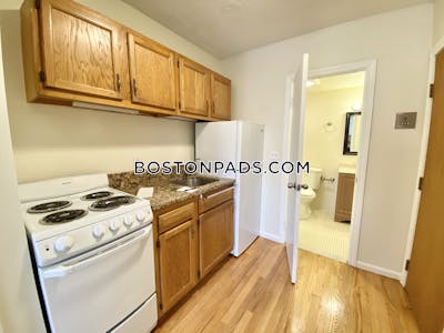 Mission Hill Studio 1 Bath Boston - $1,900 No Fee