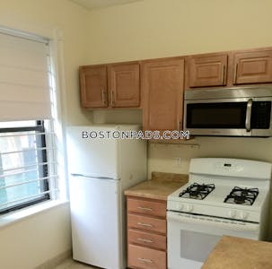 Allston Apartment for rent 1 Bedroom 1 Bath Boston - $2,500