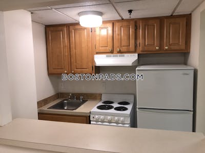 Chinatown Apartment for rent 1 Bedroom 1 Bath Boston - $2,975 No Fee