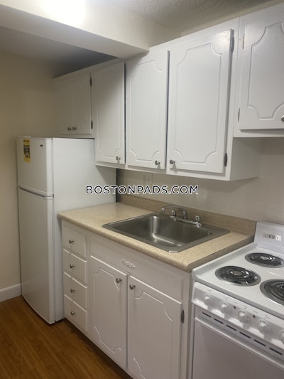 Brighton Apartment for rent 1 Bedroom 1 Bath Boston - $2,000