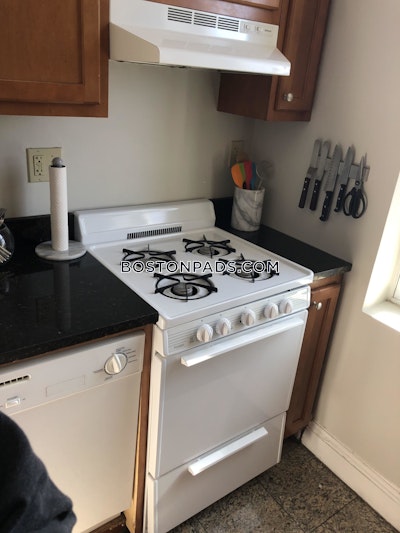 Allston Apartment for rent Studio 1 Bath Boston - $2,350