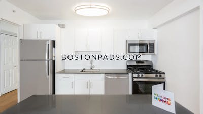 West End Apartment for rent Studio 1 Bath Boston - $2,885