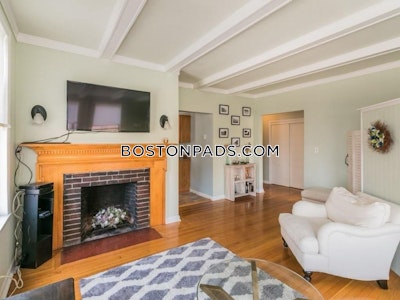 Brighton Apartment for rent 1 Bedroom 1 Bath Boston - $2,800 No Fee
