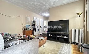 Brighton Apartment for rent 2 Bedrooms 1 Bath Boston - $2,700 No Fee