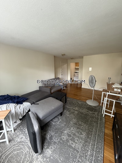 Brighton Apartment for rent 2 Bedrooms 1 Bath Boston - $2,500 No Fee
